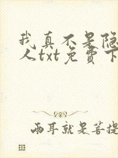 我真不是隐世高人txt免费下载