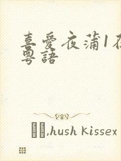 喜爱夜蒲1在线粤语