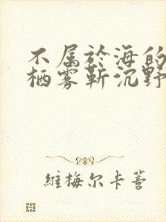 不属于海的风唐栖雾靳沉野全本阅读
