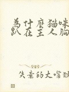 为什么猫咪喜欢趴在主人胸口睡觉