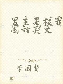 男主是校霸的校园甜宠文封面