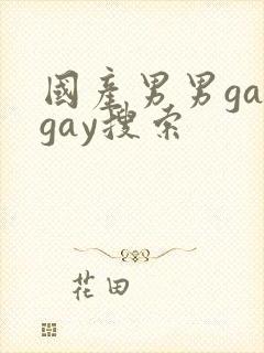 国产男男gaygay搜索