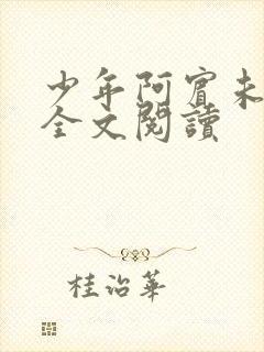 少年阿宾未删减全文阅读