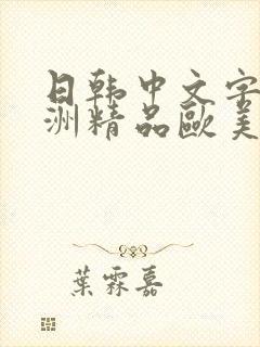 日韩中文字幕亚洲精品欧美