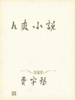 h爽小说封面