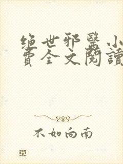 绝世邪医小说免费全文阅读封面