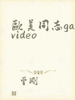 欧美同志gayvideo