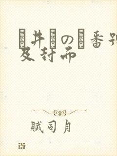 辻井ほのか番号及封面