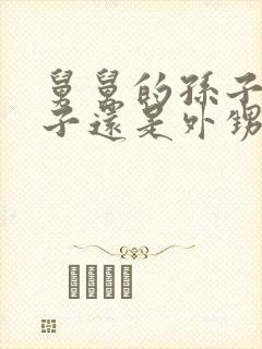 舅舅的孙子是侄子还是外甥封面