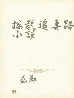 总裁追妻路漫漫小说