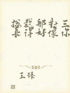 总裁那对三胞胎长得好像你啊大结局