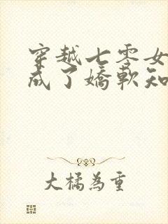 穿越七零女将军成了娇软知青txt下载封面