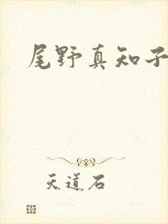 尾野真知子磁力