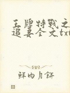 王牌特战之权少追妻全文txt下载
