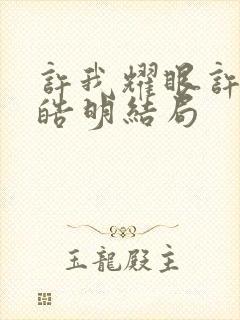 许我耀眼许妍沈皓明结局封面