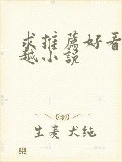 求推荐好看的穿越小说