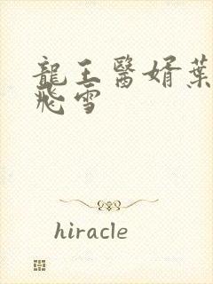 龙王医婿叶凡唐飞雪