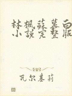 林枫苏慕白穿越小说完整版从哪里看封面