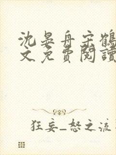 沈晏舟宋鹤眠全文免费阅读