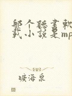 那个听书软件下载小说是mp3