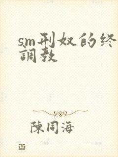 sm刑奴的终极调教