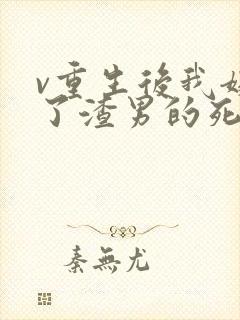 v重生后我嫁给了渣男的死对头