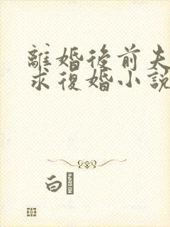 离婚后前夫哭着求复婚小说免费