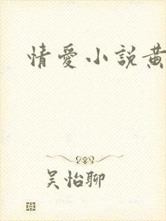 情爱小说黄蓉封面