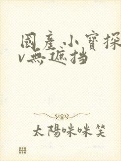 国产小宝探花av无遮挡