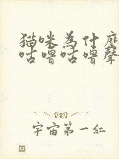 猫咪为什么发出咕噜咕噜声音