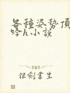 各种姿势顶弄呻吟h小说