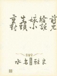 重生嫁给前夫死对头小说免费阅读