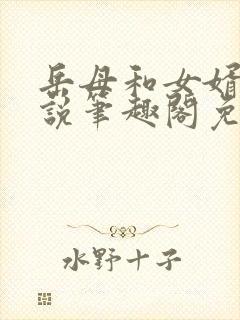 岳母和女婿的小说笔趣阁免费阅读封面