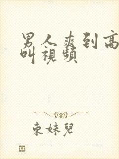 男人爽到高潮喊叫视频