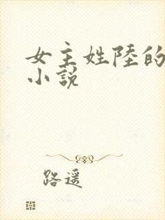 女主姓陆的穿越小说