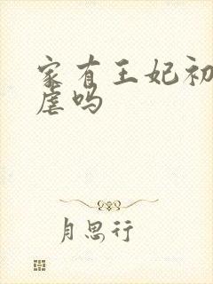 家有王妃初长成虐吗封面