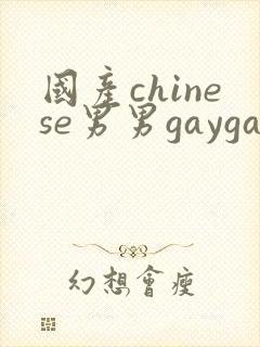 国产chinese男男gaygay网站肌肉