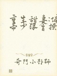 重生甜妻:偏执帝少狠会撩