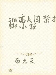 sm高h囚禁捆绑小说
