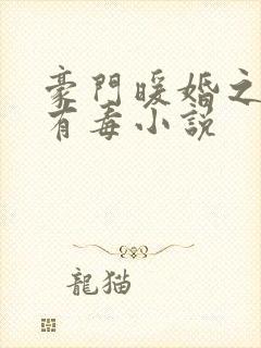 豪门暖婚之媳妇有毒小说封面