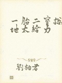 一胎二宝总裁爹地太给力