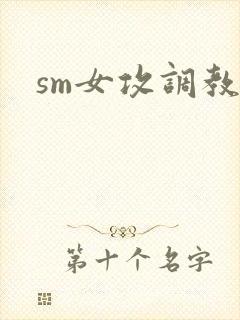 sm女攻调教文封面