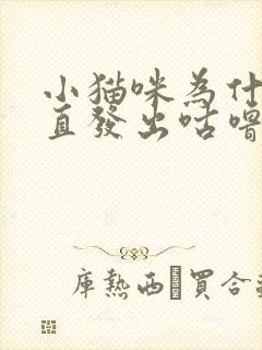 小猫咪为什么一直发出咕噜咕噜的声音封面