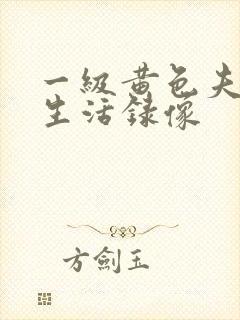 一级黄色夫妻性生活录像