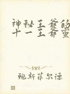 神秘王爷的爱妃十一王爷灵曦