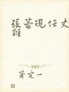 张蕾现任丈夫是谁