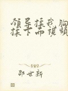 领导揉我胸亲奶揉下面视频封面