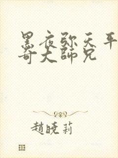 黑夜弥天平平无奇大师兄封面