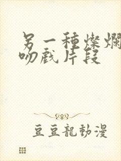 另一种灿烂生活吻戏片段