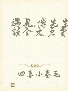 遇见,傅先生小说全文免费阅读封面